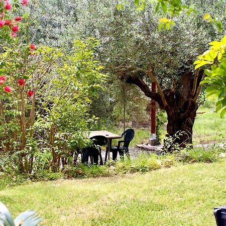 Villa Pelau - Holiday Home Jerzu Buitenkant foto