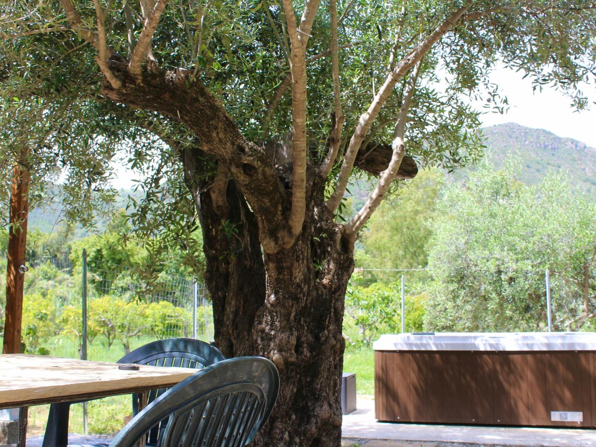 Villa Pelau - Holiday Home Jerzu Buitenkant foto